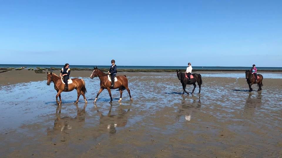 Balade à Cheval sur la plage de Quineville